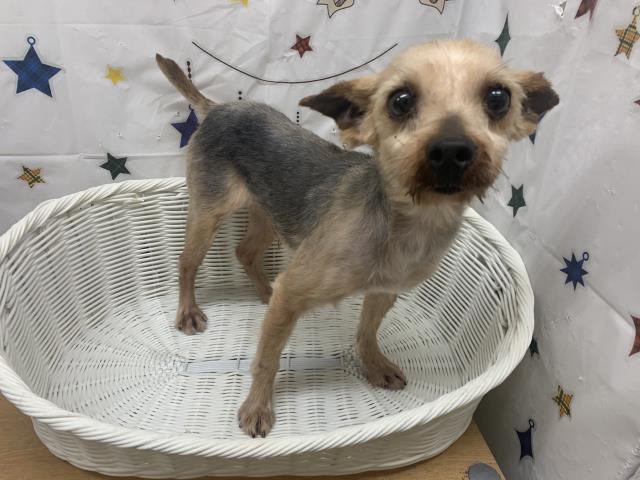 クーアンドリク ひどい