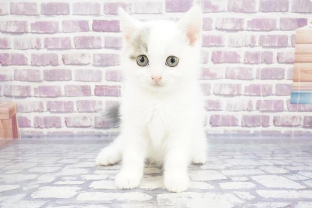 Oipoytzxaeie M Oipoytzxaeie M