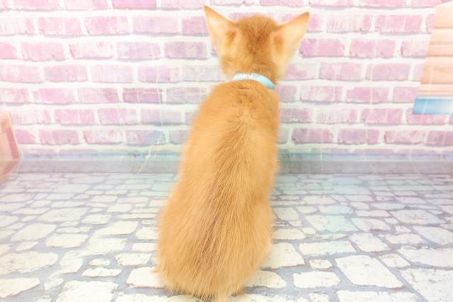 2023年9月20日生まれのキンカローの4枚目の写真