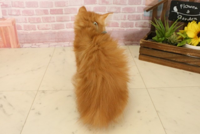 福岡県のサイベリアン (Coo&RIKU行橋店/2025年5月26日生まれ/男の子/レッドタビーホワイト)の子猫の4枚目の画像