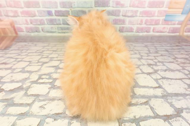 埼玉県のサイベリアン (Coo&RIKU大宮店/2025年6月4日生まれ/男の子/レッドタビー)の子猫の4枚目の画像
