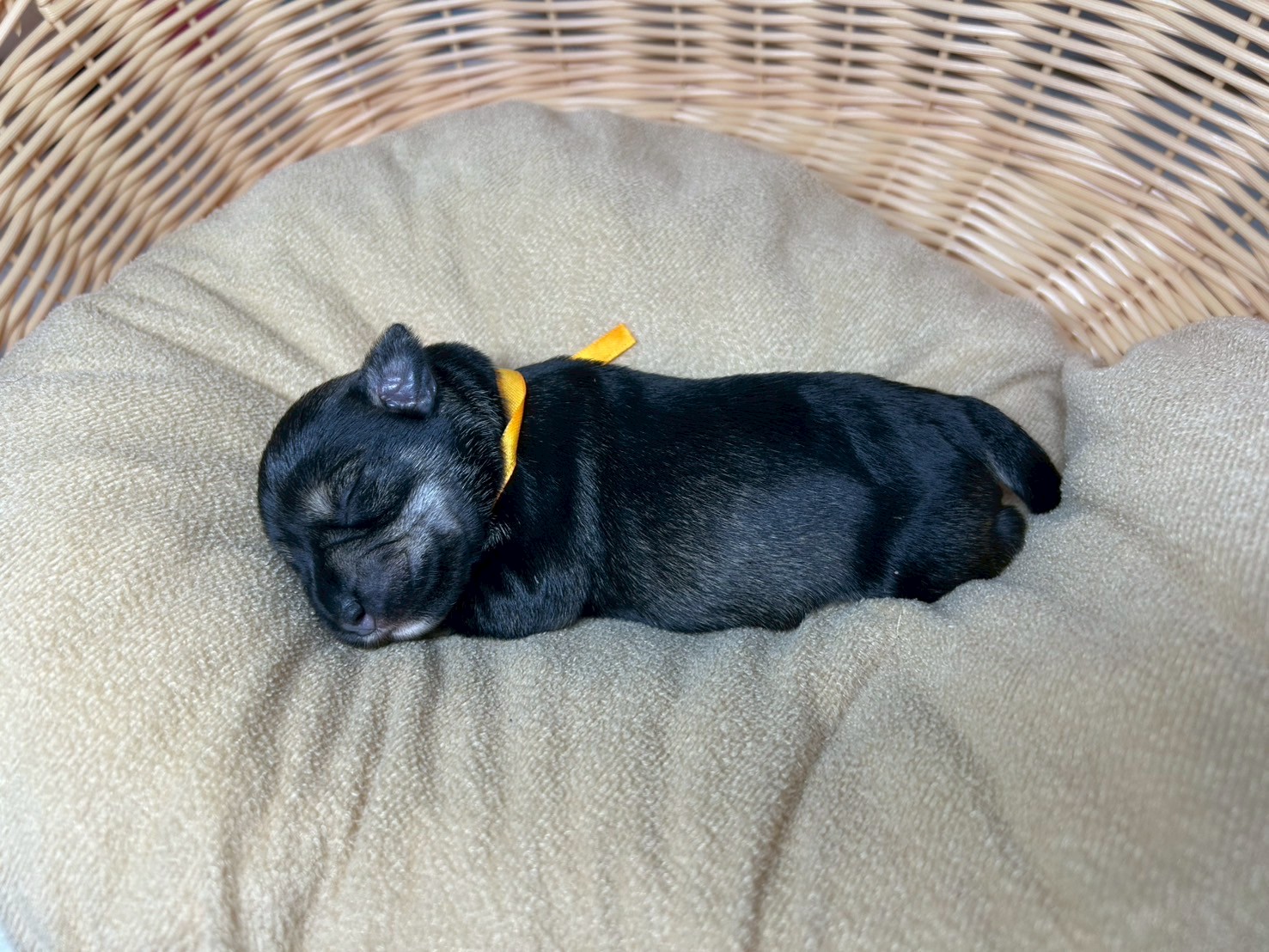 赤ちゃん写真1-2