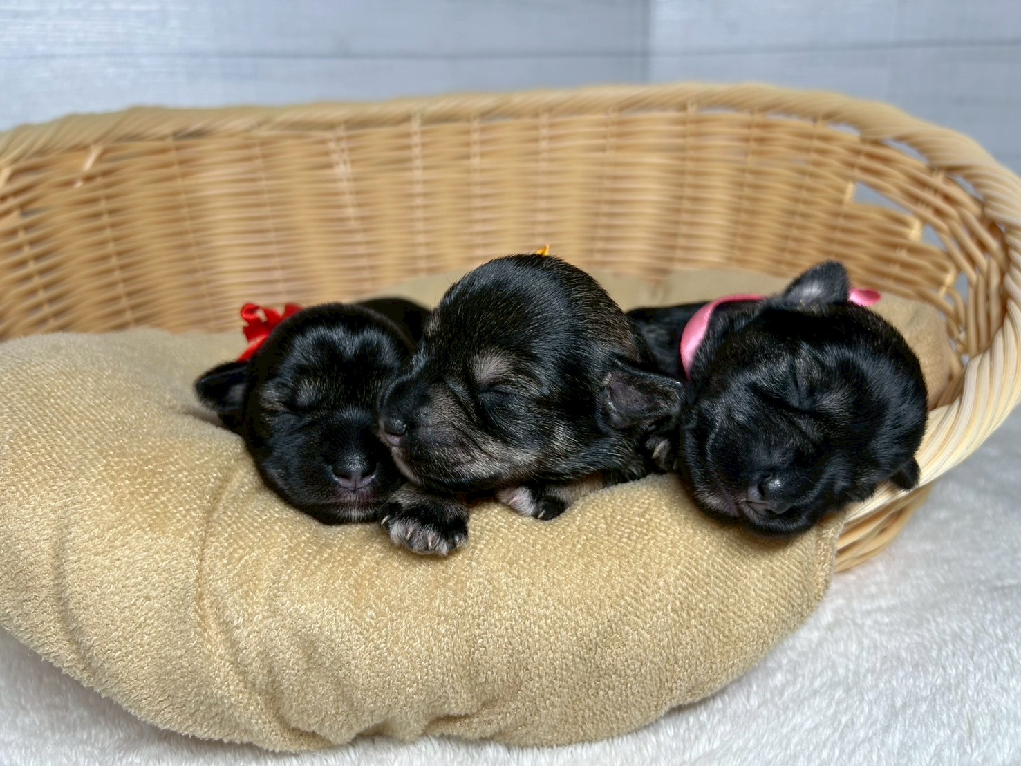 赤ちゃん写真1-3