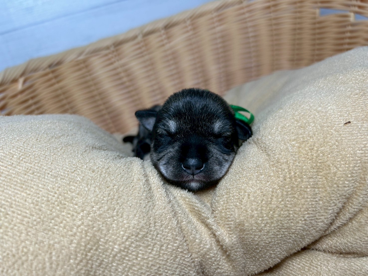 赤ちゃん写真1-1