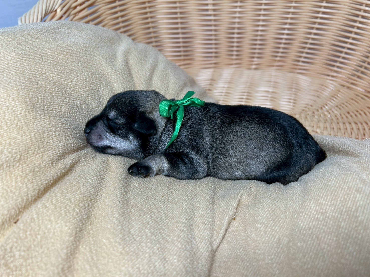 赤ちゃん写真1-2