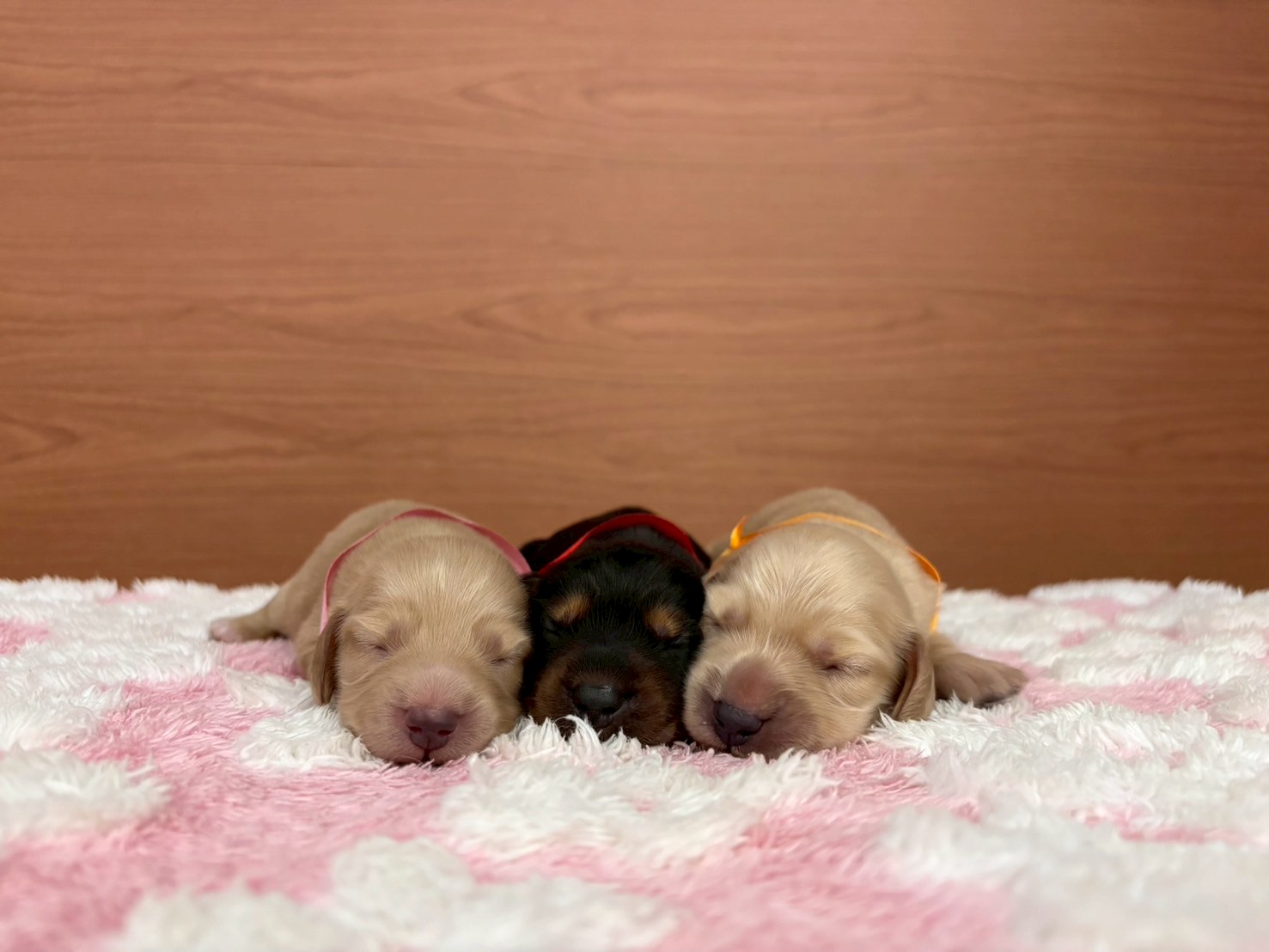 赤ちゃん写真1-3