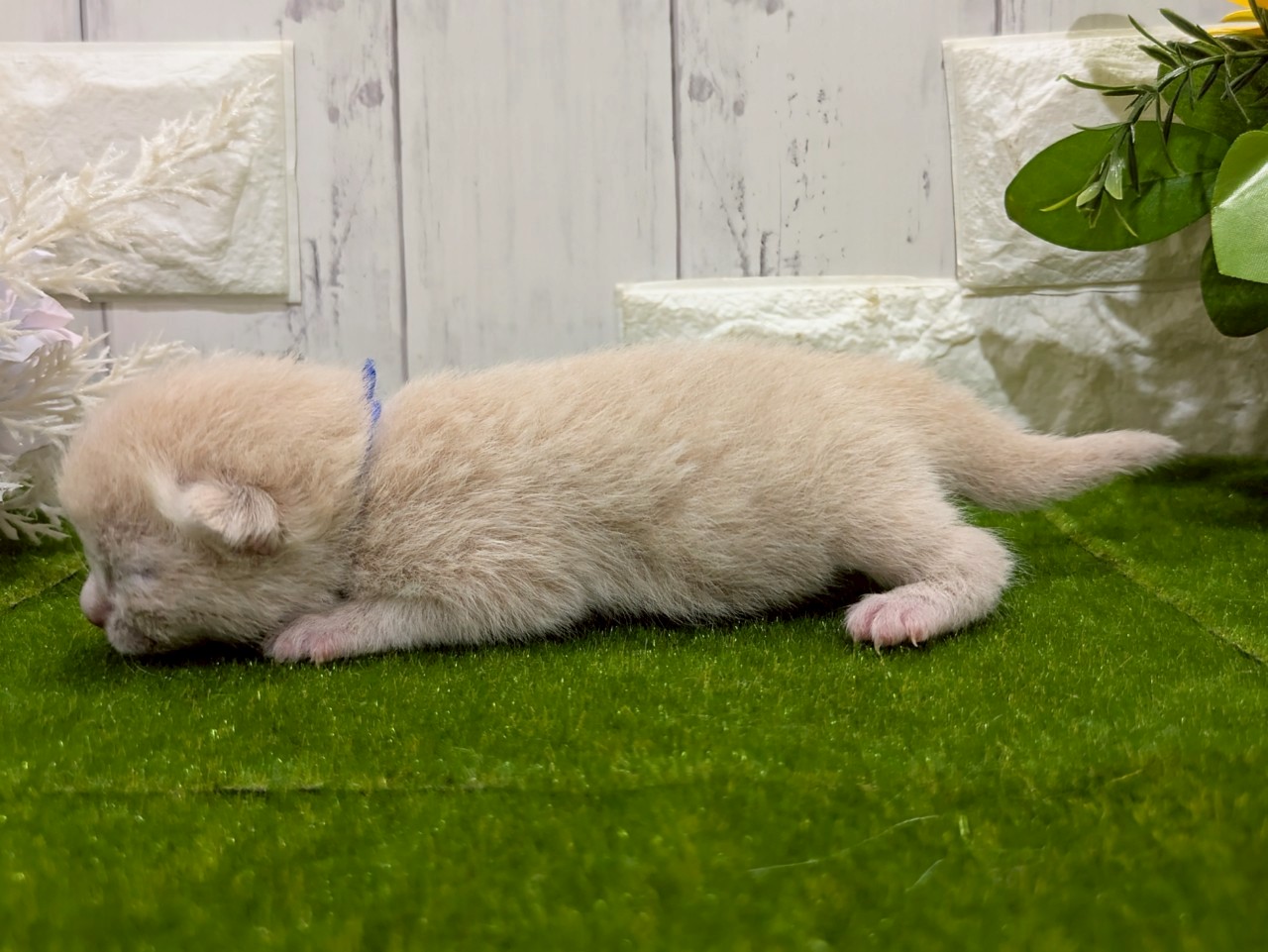 赤ちゃん写真1-2