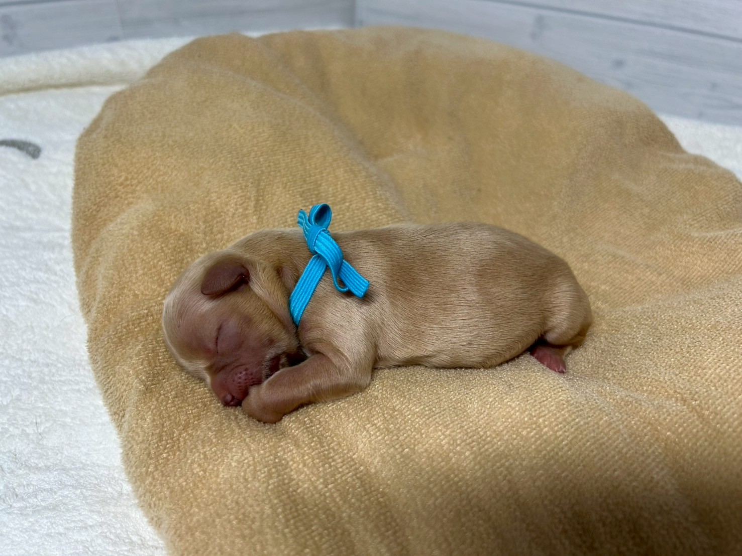 赤ちゃん写真1-2