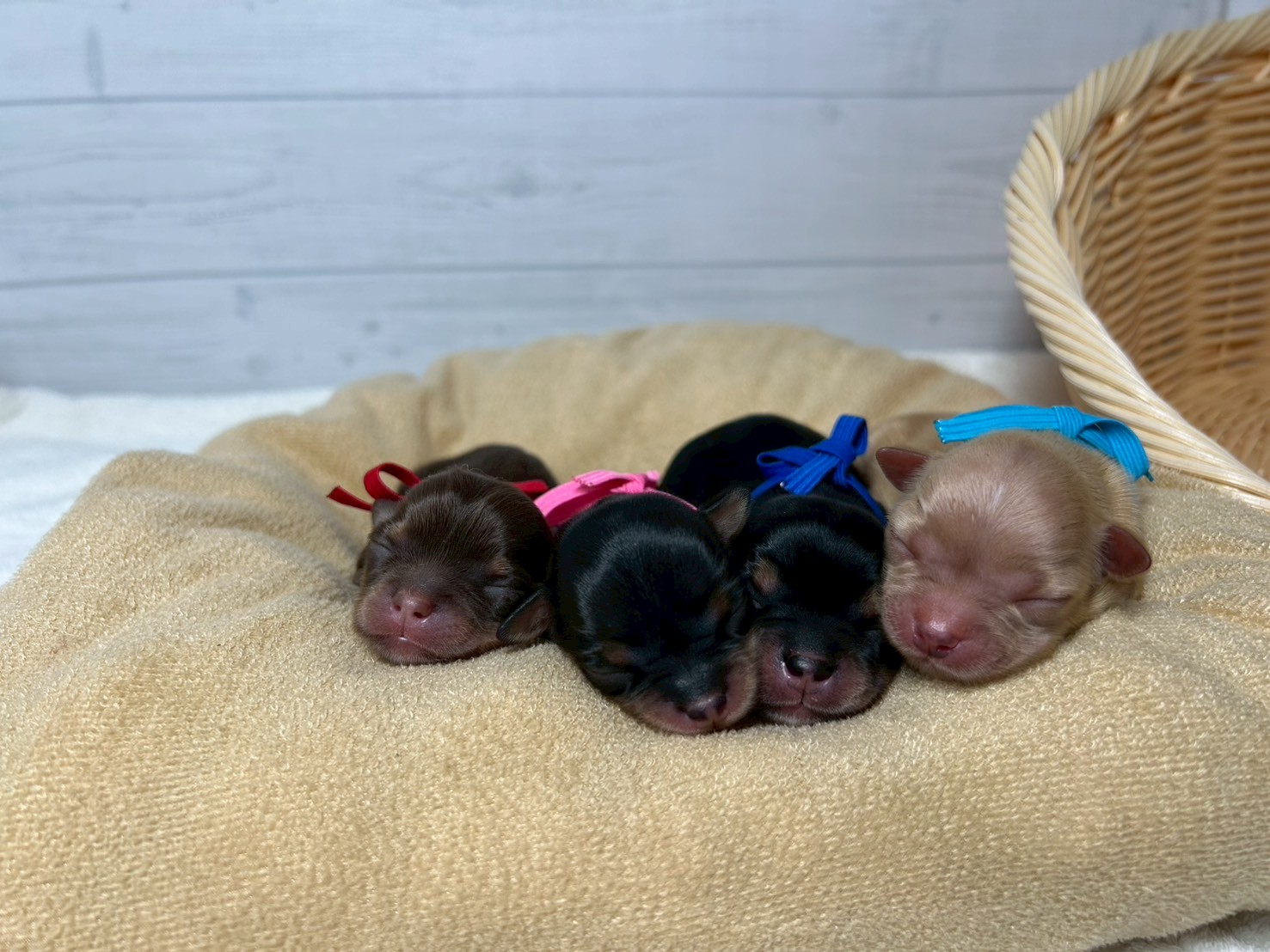 赤ちゃん写真1-3