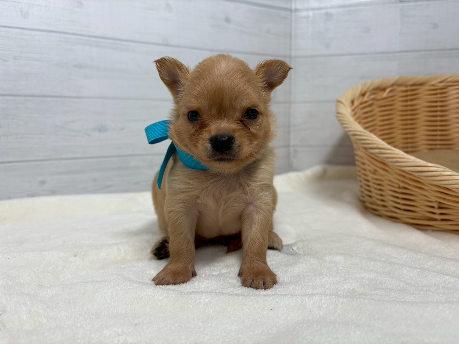 赤ちゃん写真2-1