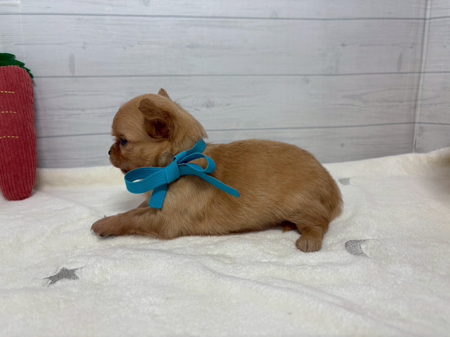 赤ちゃん写真2-2