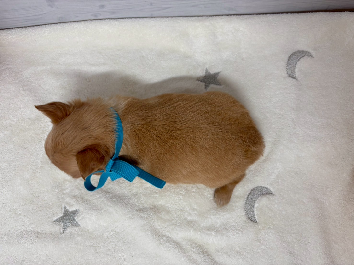 赤ちゃん写真2-3