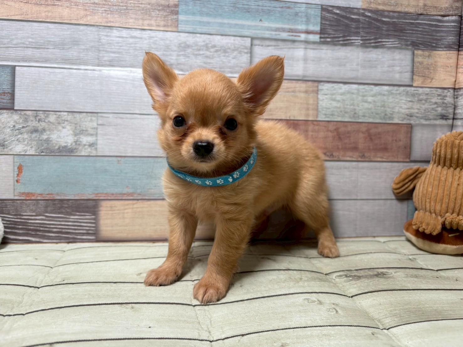 赤ちゃん写真3-1