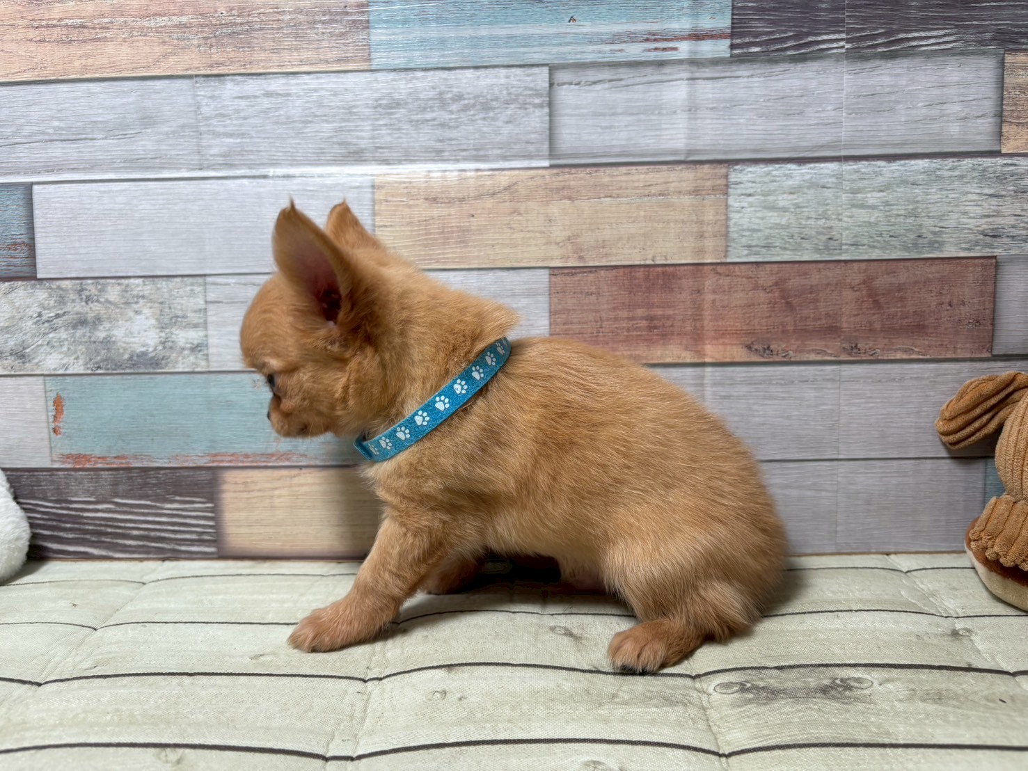 赤ちゃん写真3-2