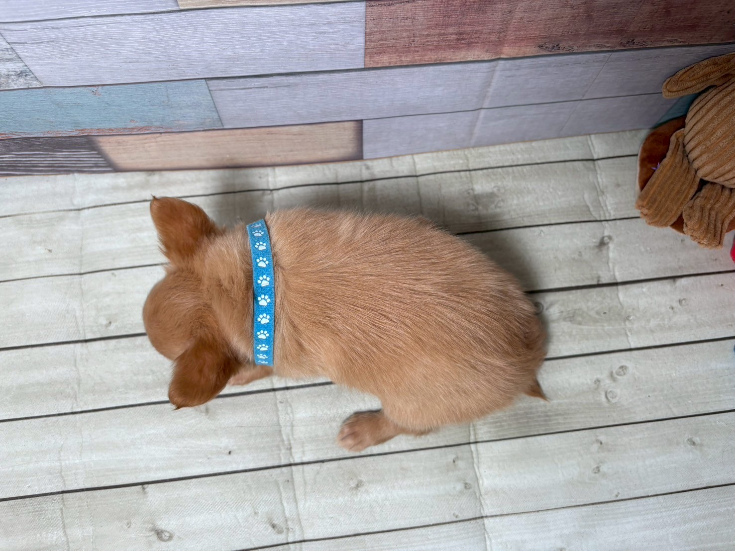 赤ちゃん写真3-3