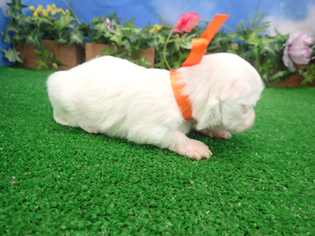 赤ちゃん写真2-2