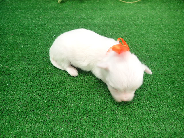 赤ちゃん写真2-3