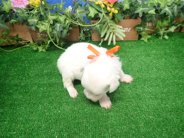 赤ちゃん写真3-3