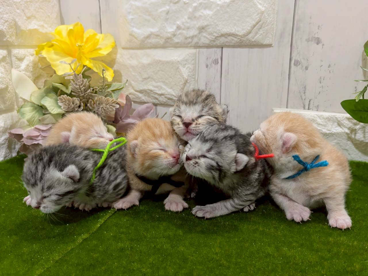 赤ちゃん写真1-3