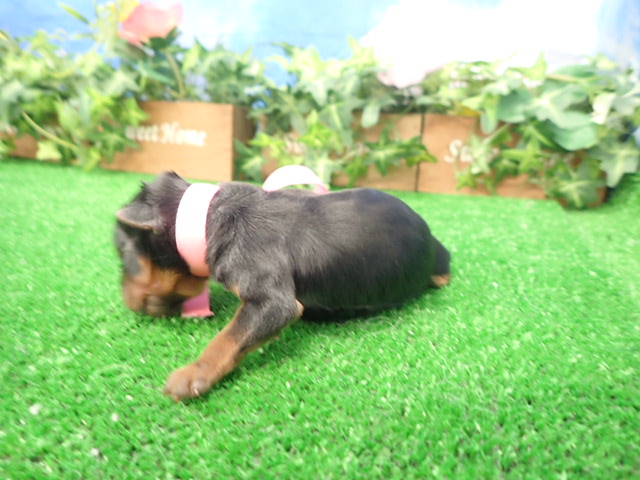 赤ちゃん写真1-2
