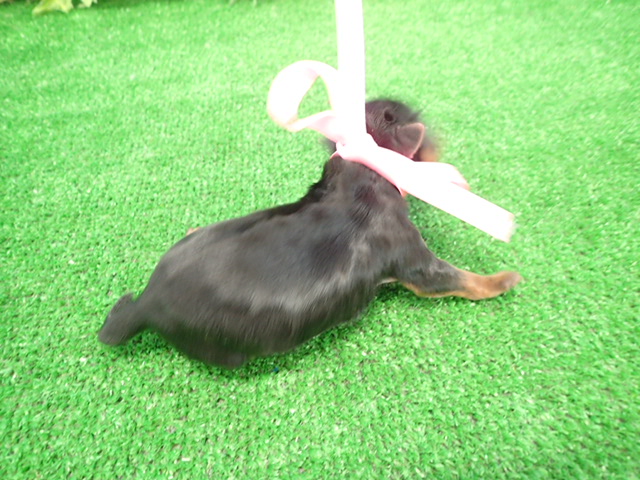 赤ちゃん写真1-3