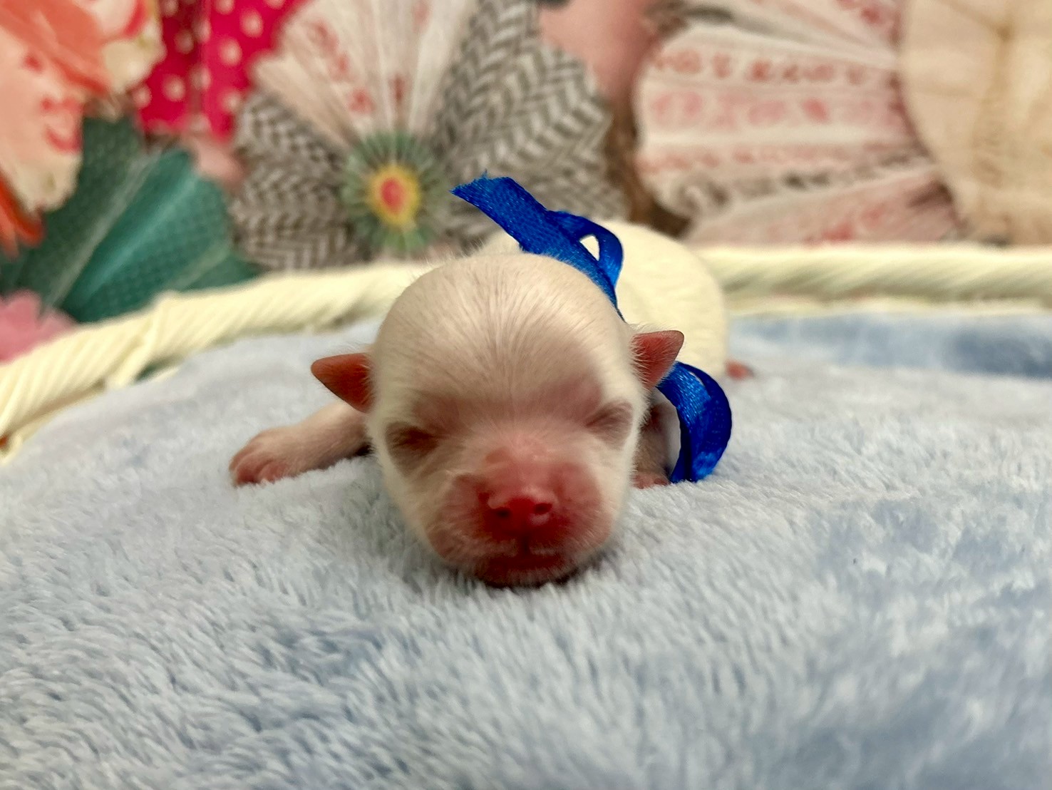 赤ちゃん写真1-1