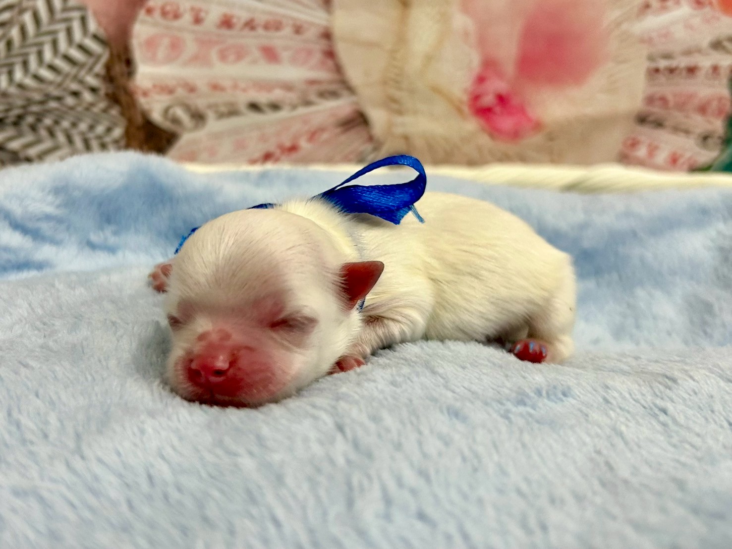 赤ちゃん写真1-2