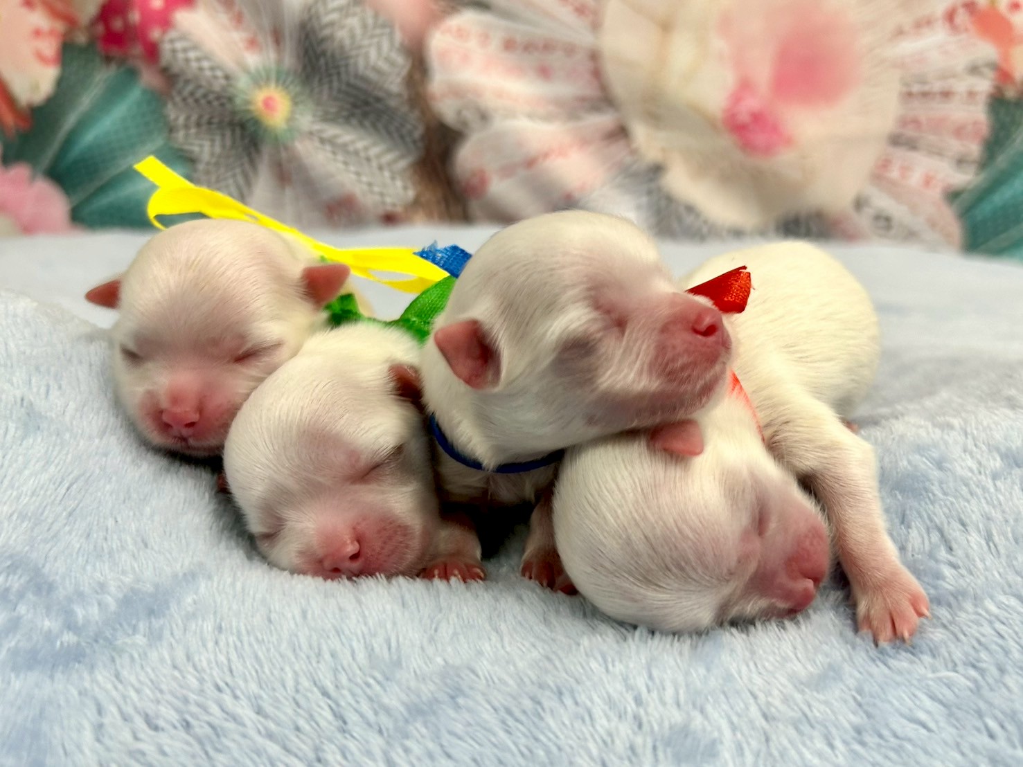 赤ちゃん写真1-3