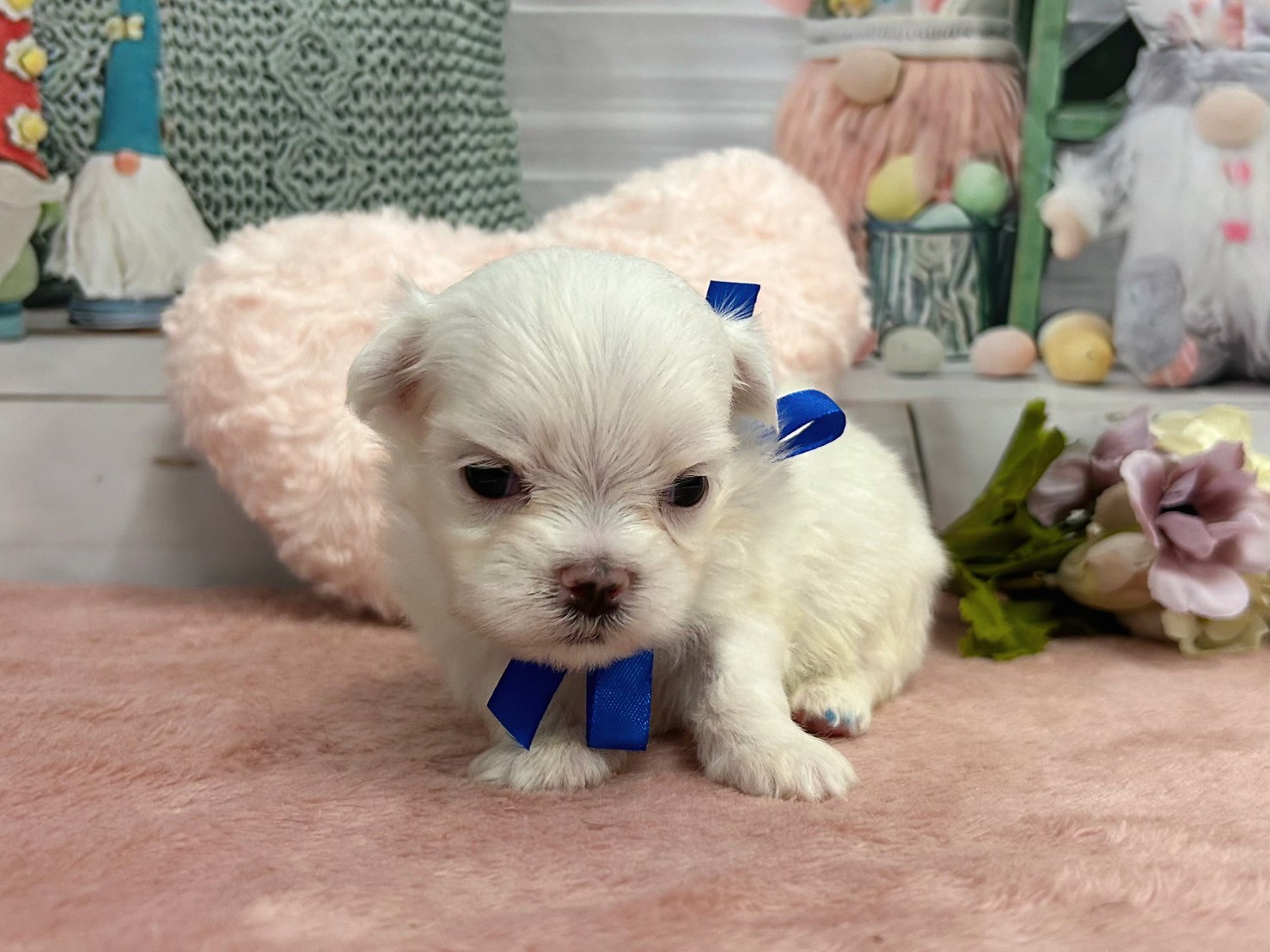 赤ちゃん写真2-1