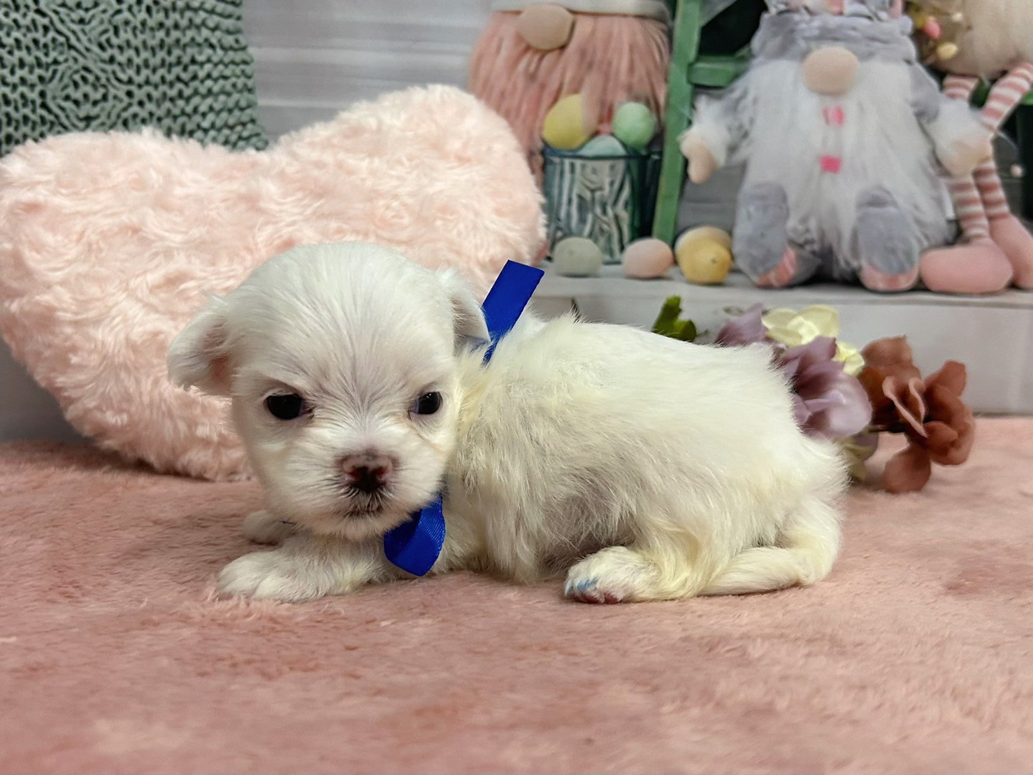 赤ちゃん写真2-2