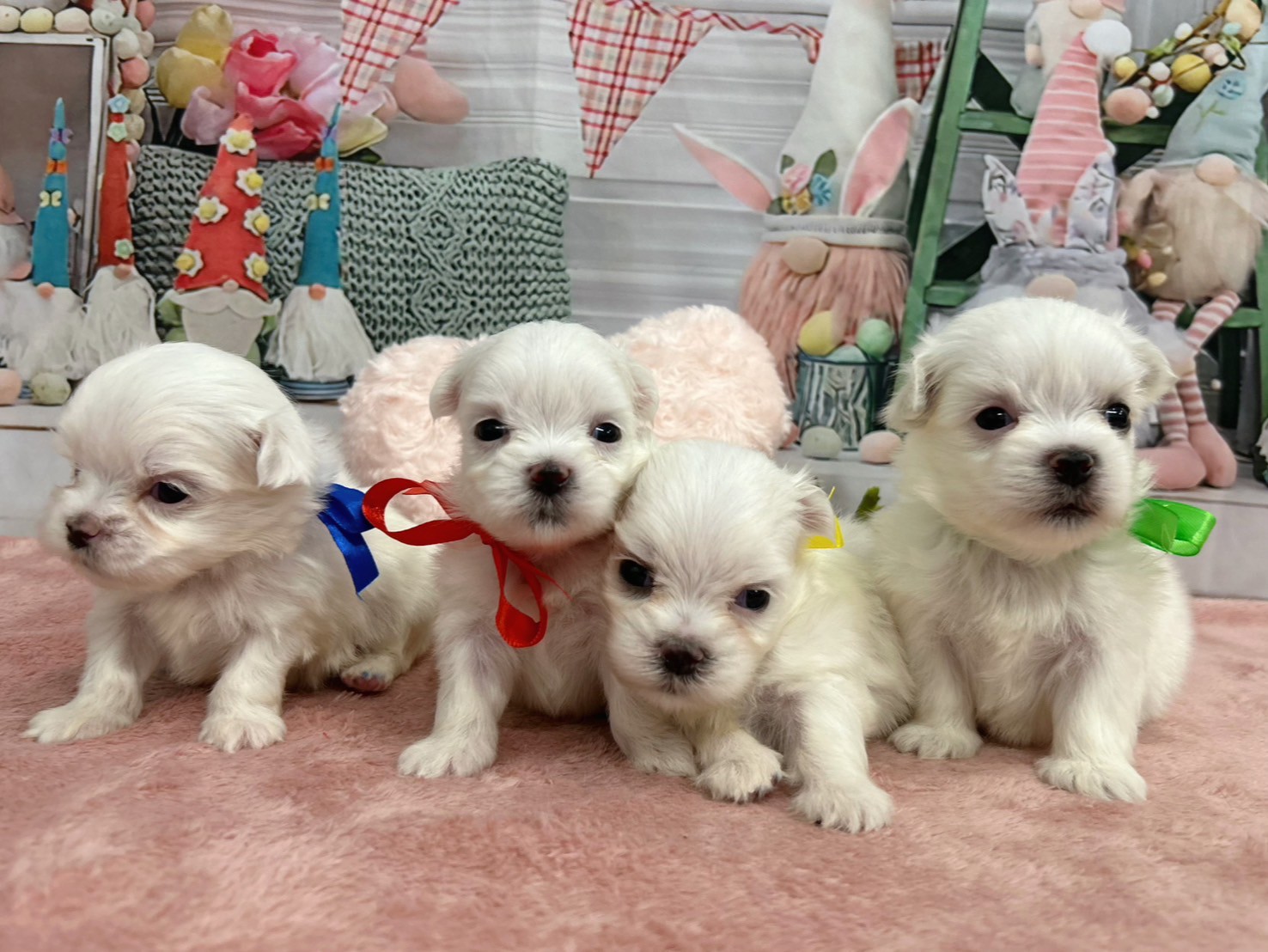 赤ちゃん写真2-3