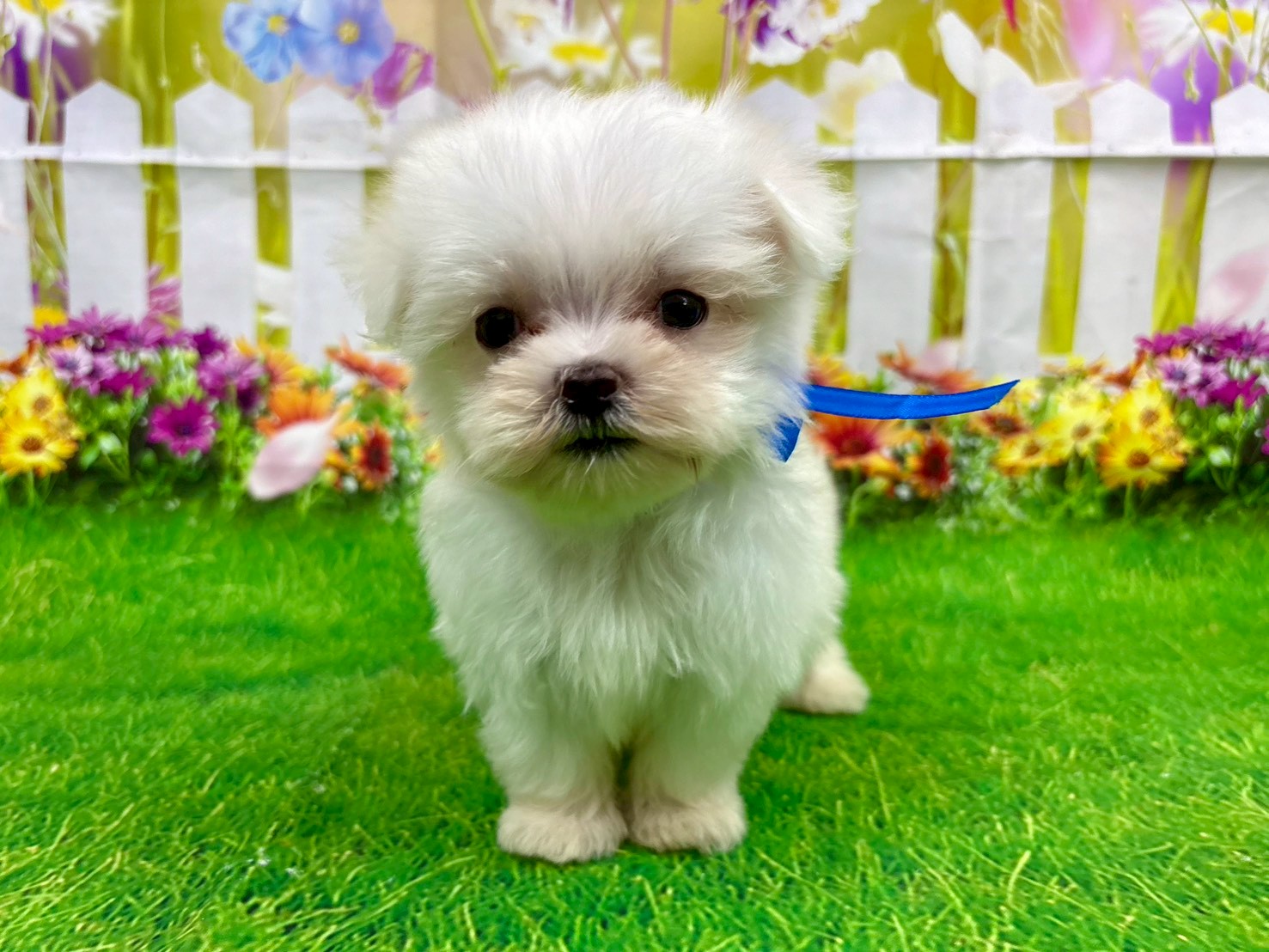 赤ちゃん写真3-1