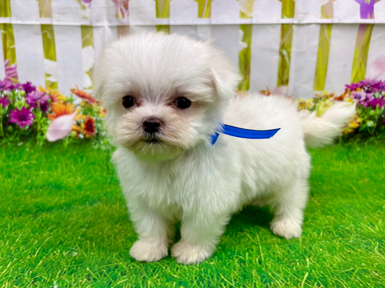 赤ちゃん写真3-2