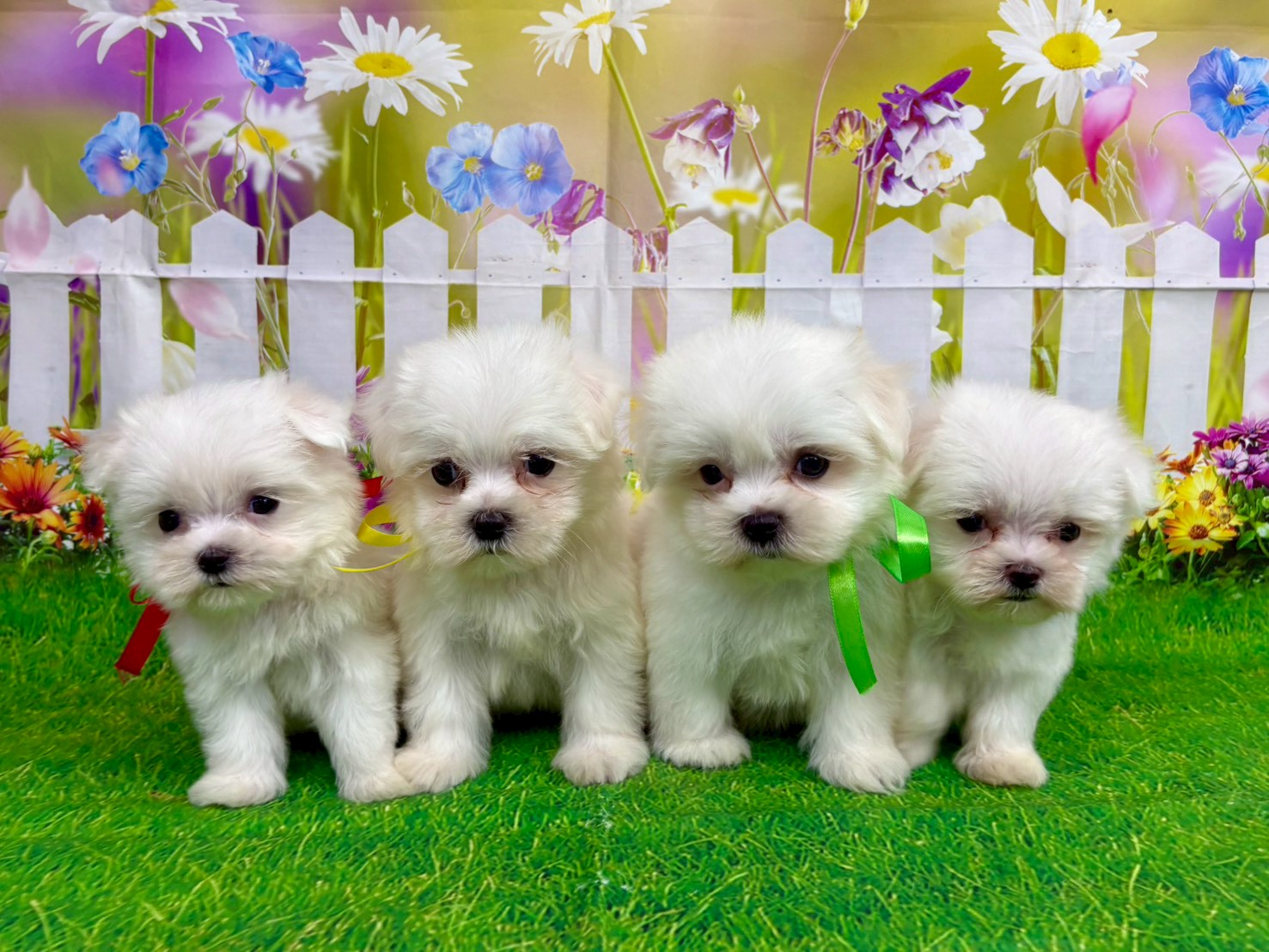 赤ちゃん写真3-3