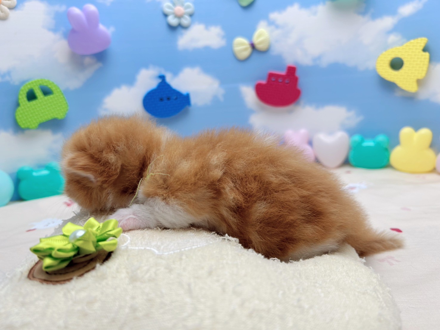 赤ちゃん写真1-2