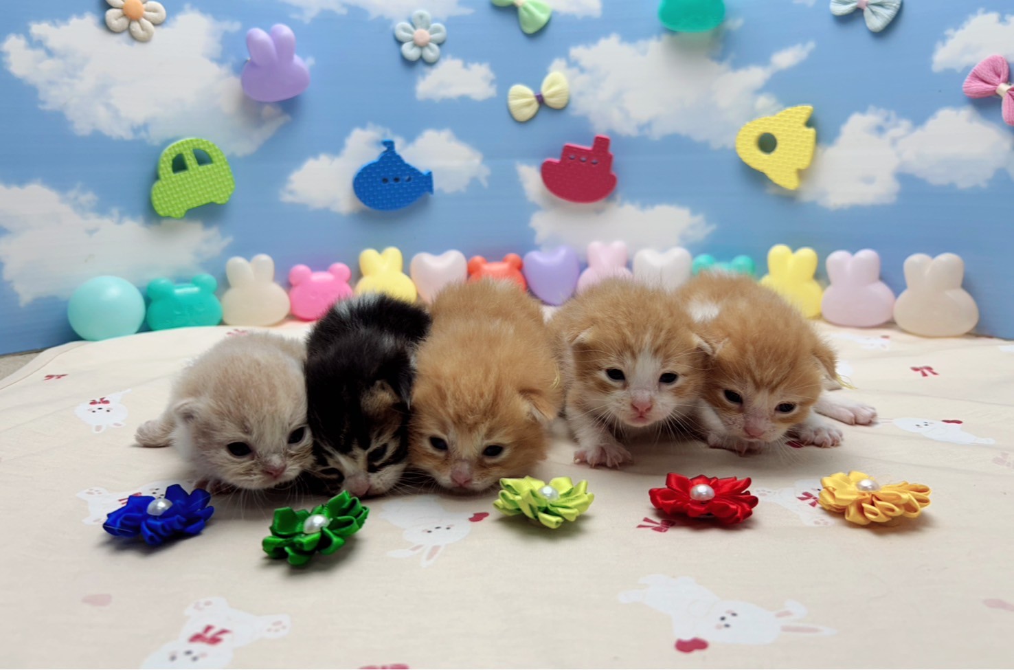 赤ちゃん写真1-3