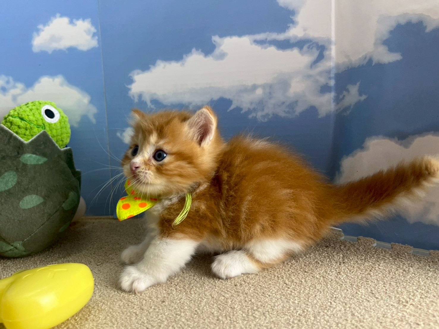 赤ちゃん写真2-2