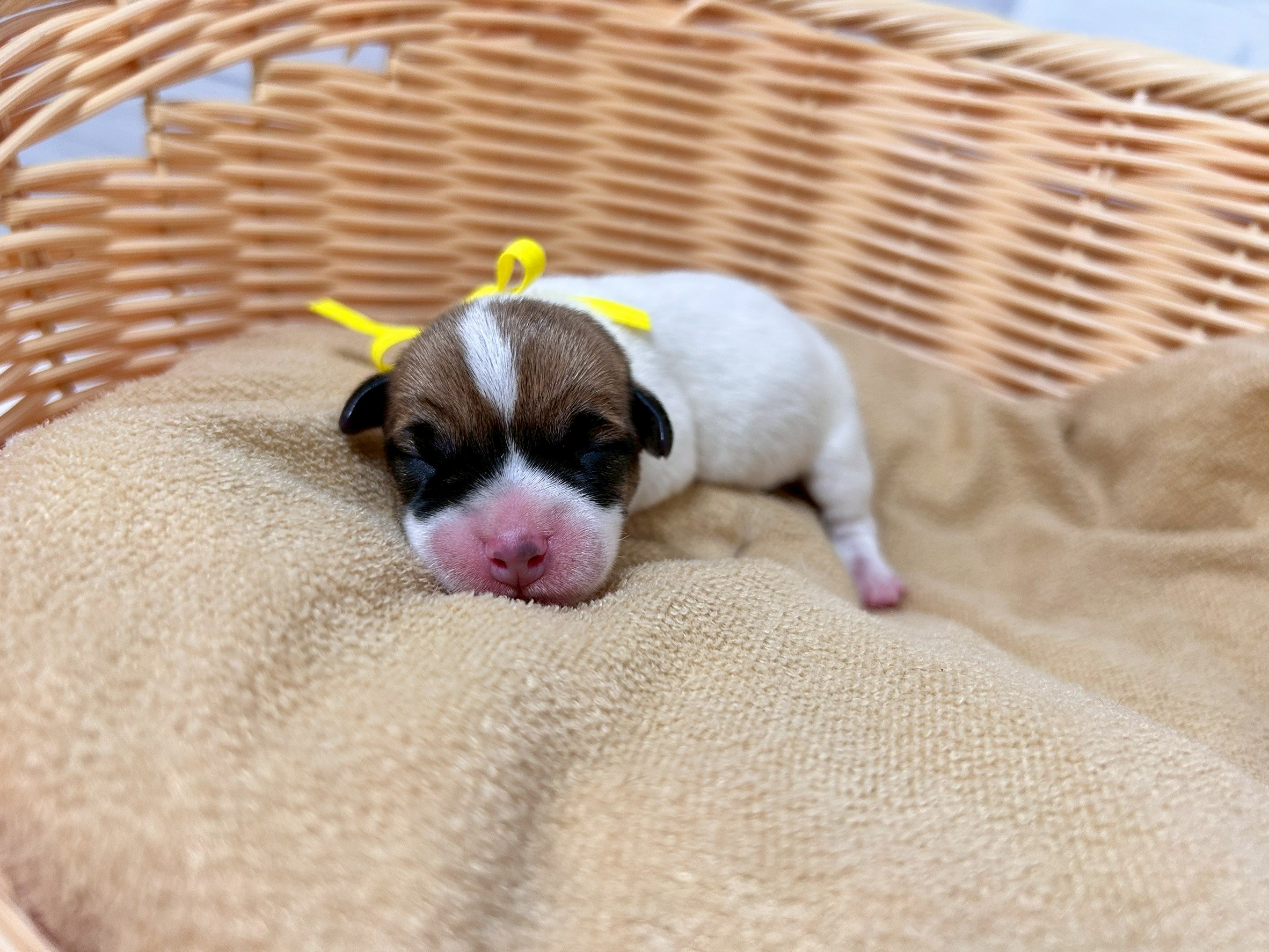 赤ちゃん写真1-1