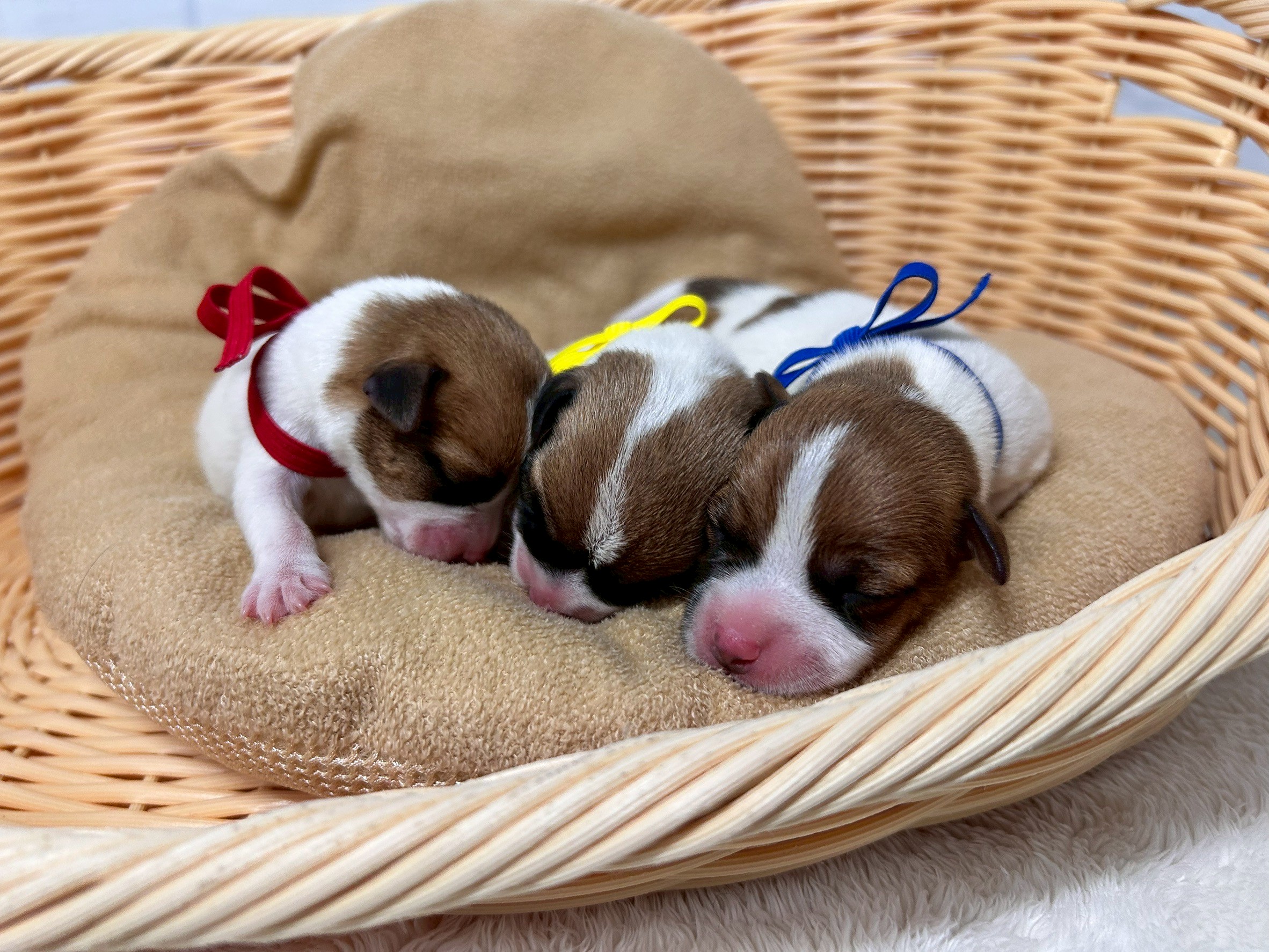 赤ちゃん写真1-3