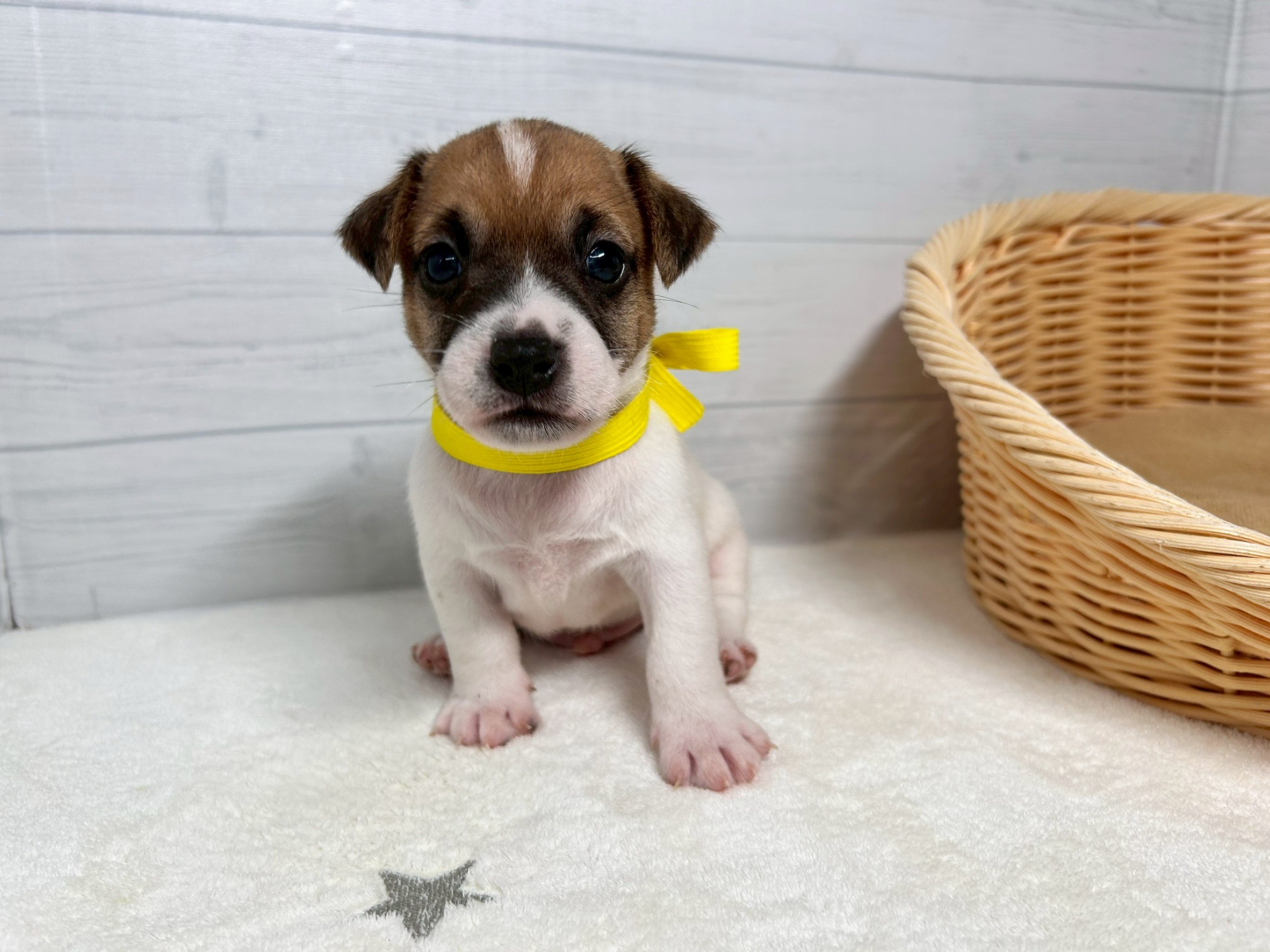 赤ちゃん写真2-1