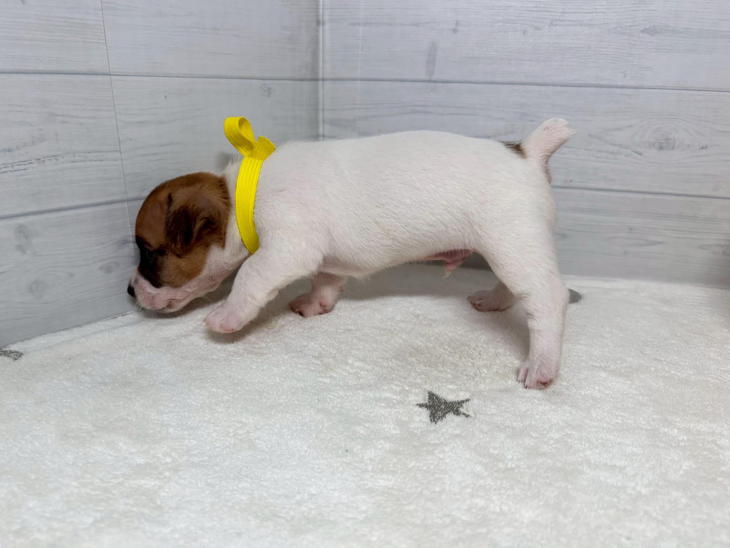 赤ちゃん写真2-2