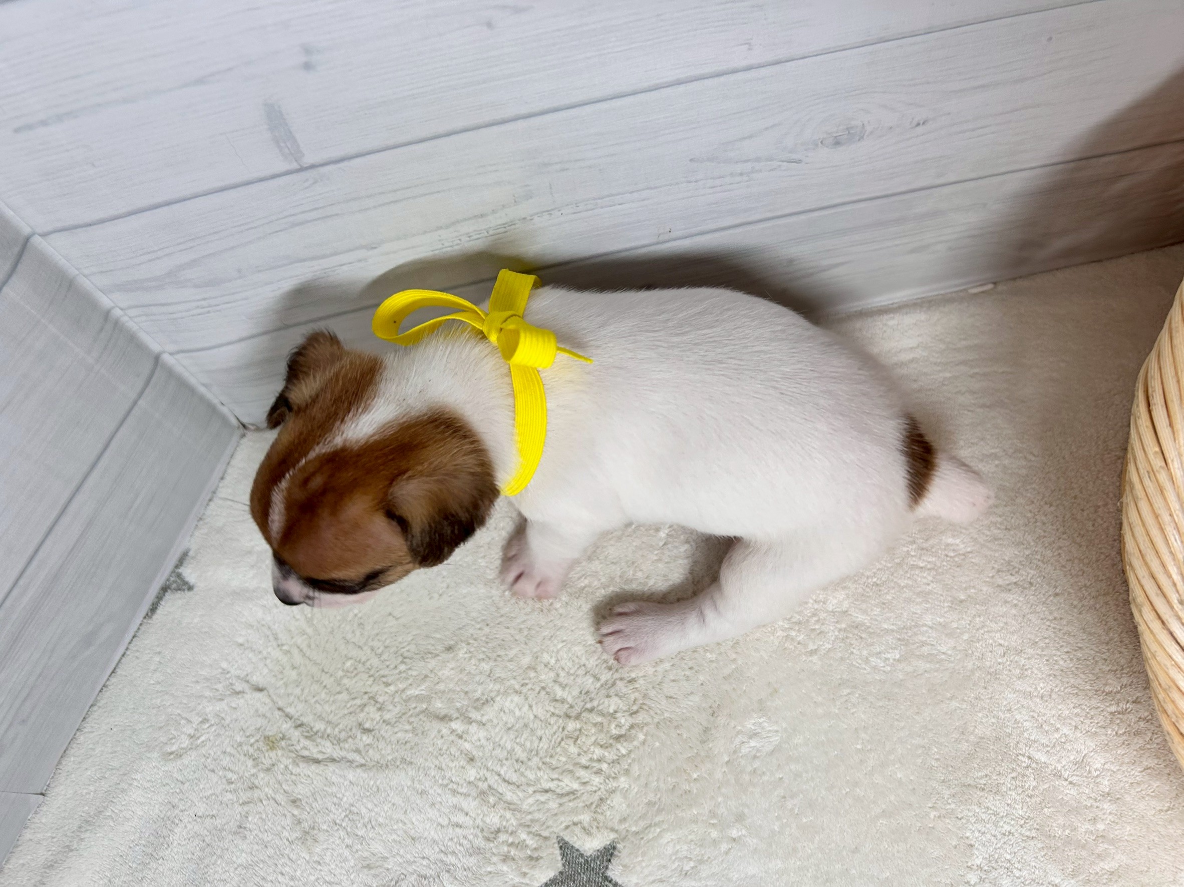 赤ちゃん写真2-3