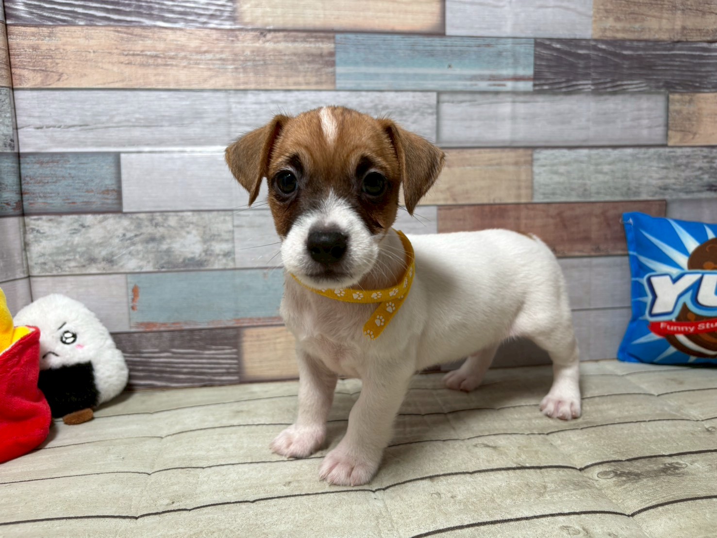 赤ちゃん写真3-1