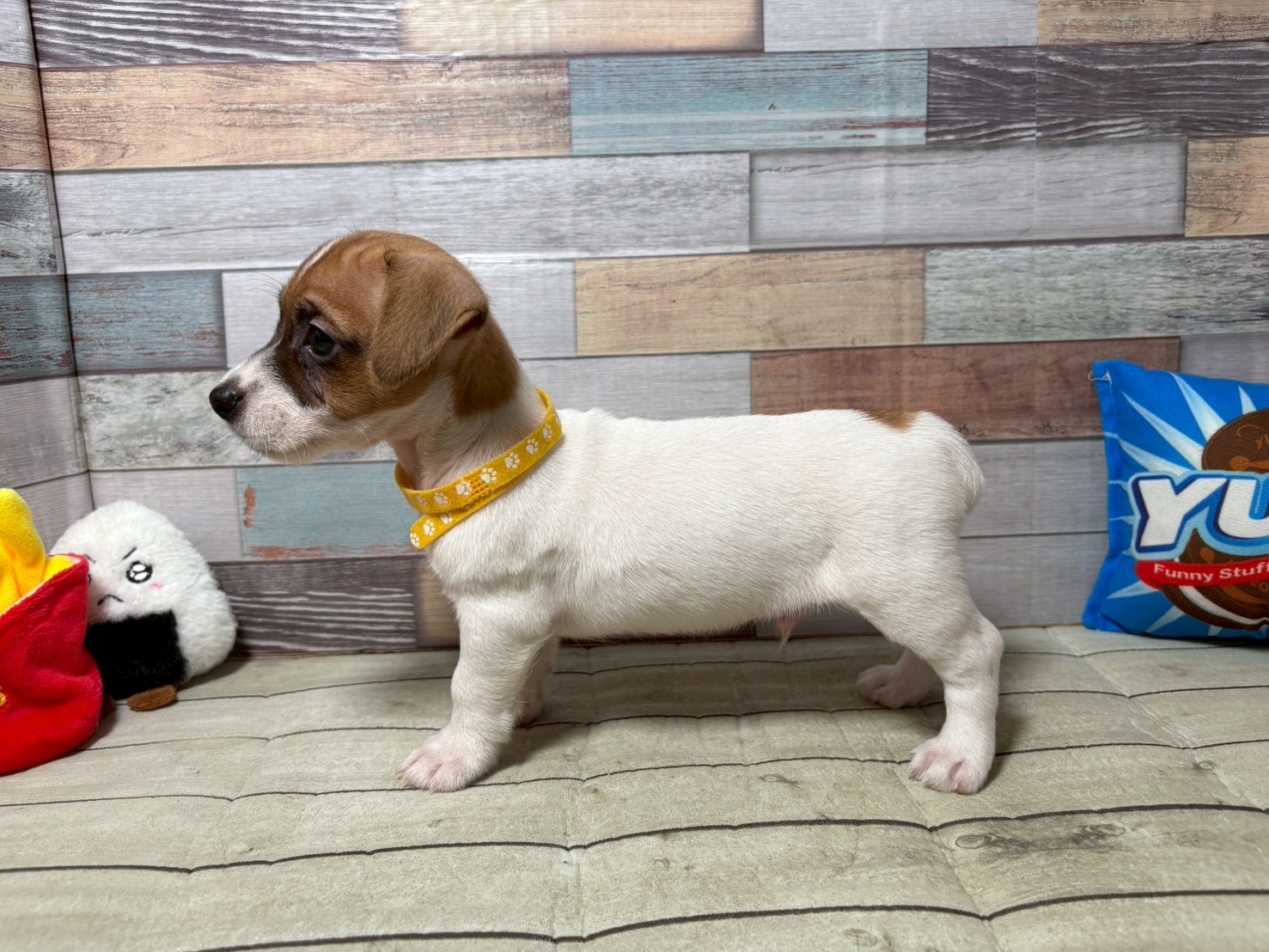 赤ちゃん写真3-2