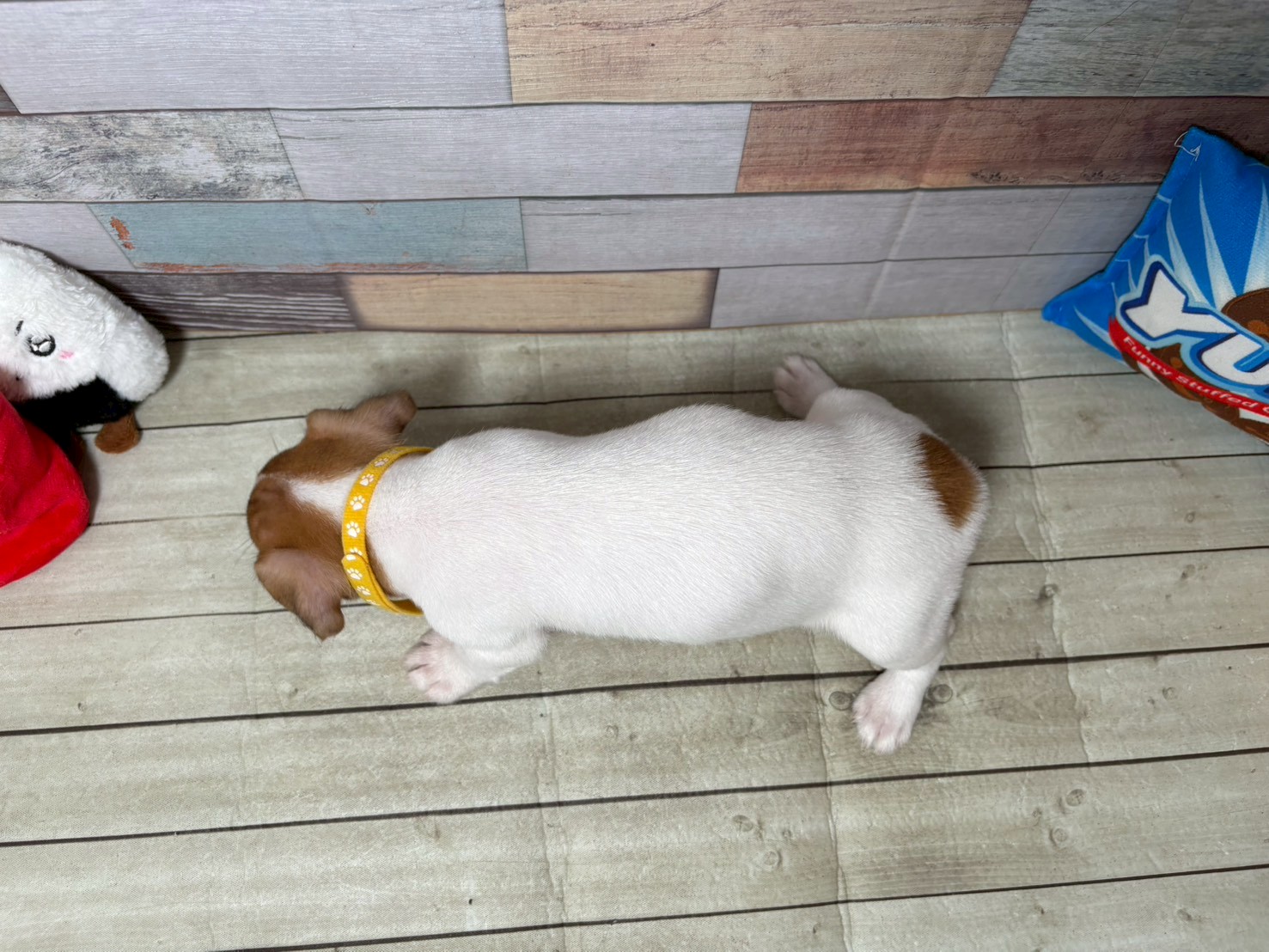 赤ちゃん写真3-3