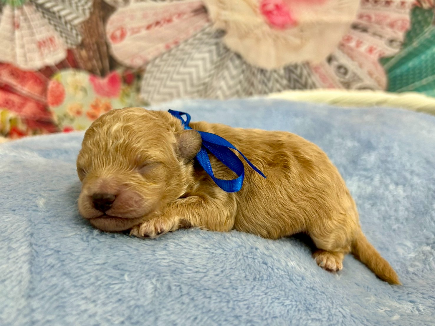 赤ちゃん写真1-2