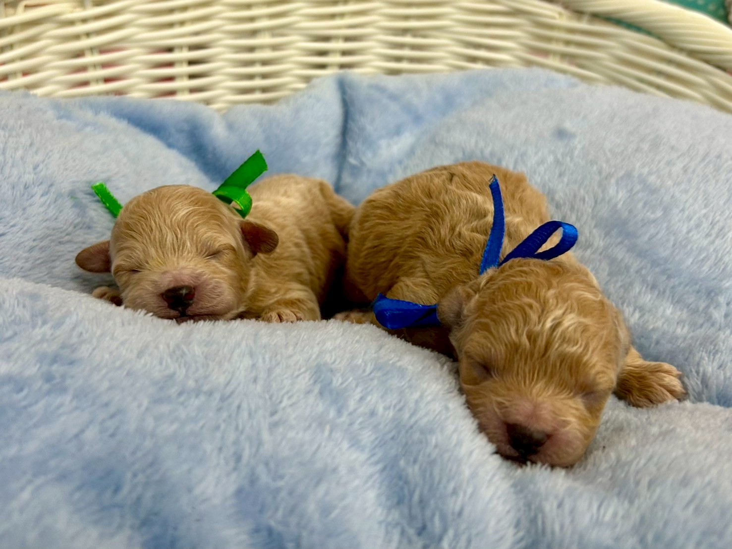 赤ちゃん写真1-3