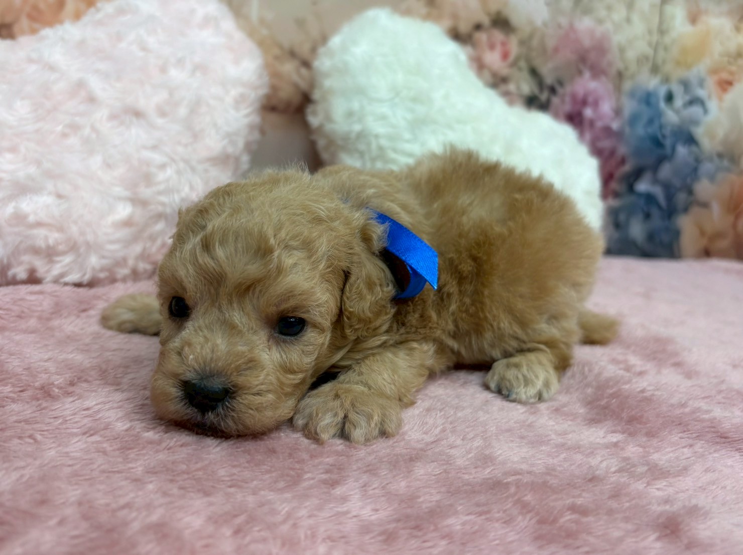 赤ちゃん写真2-2