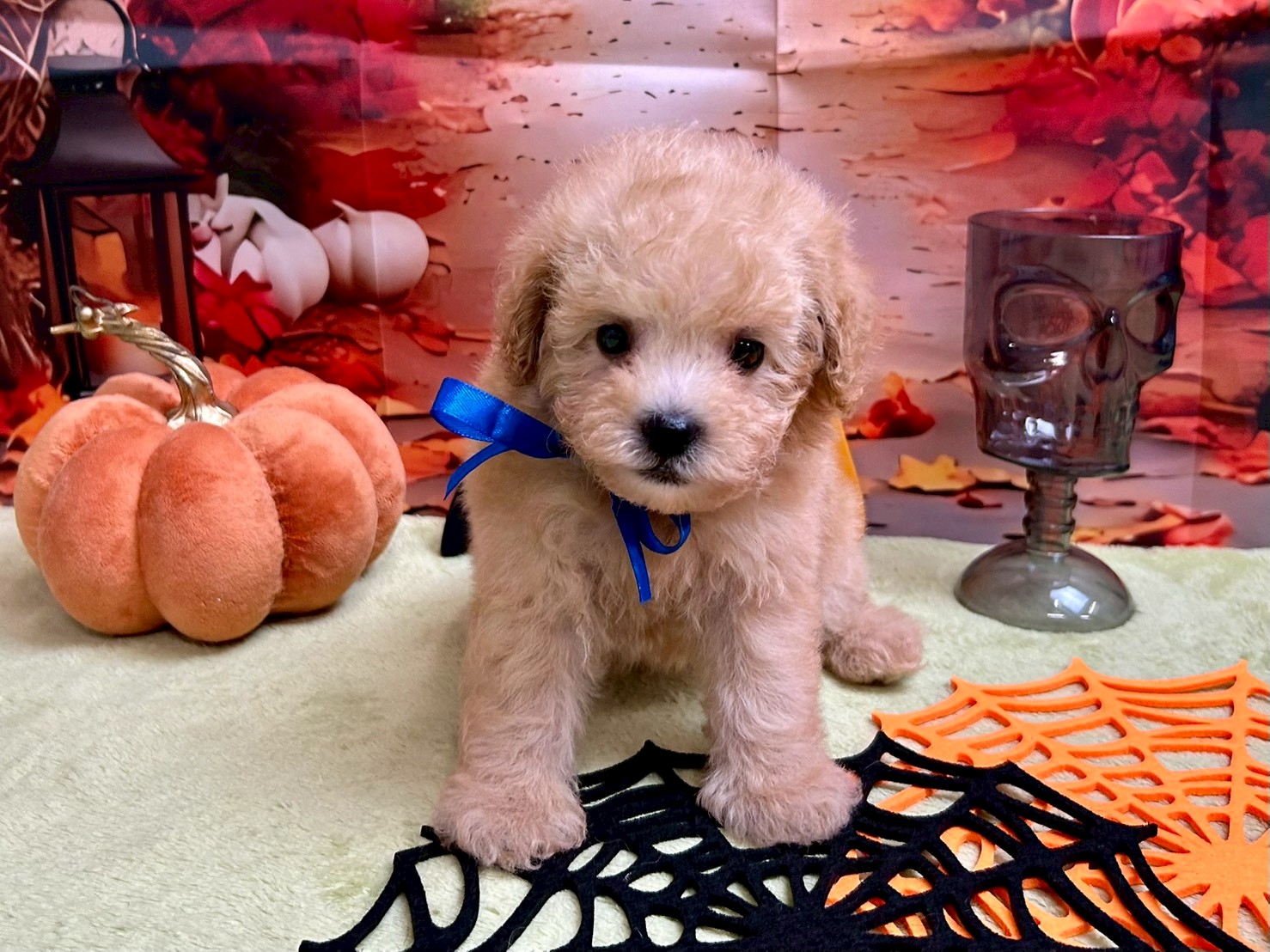 赤ちゃん写真3-1