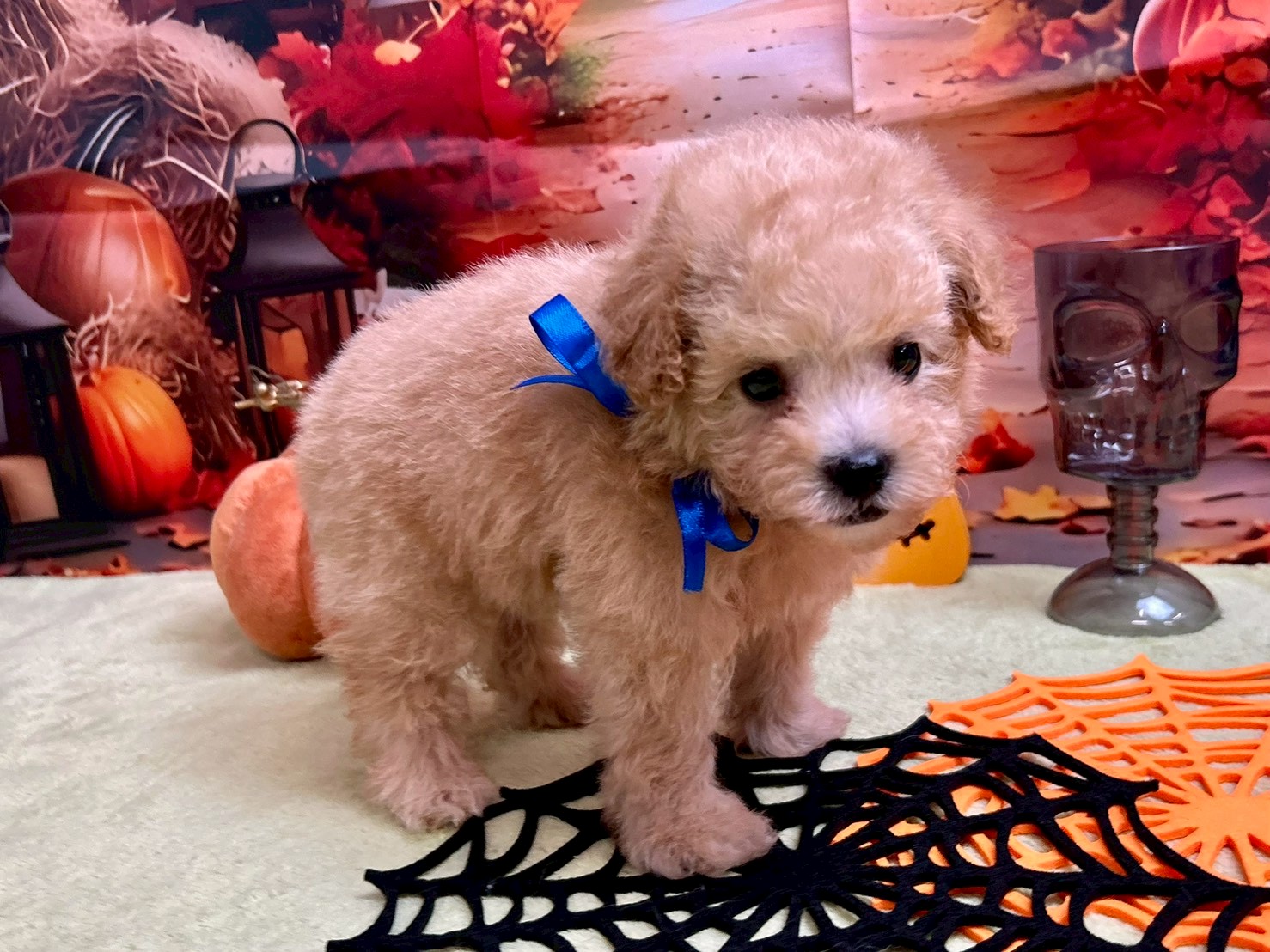 赤ちゃん写真3-2